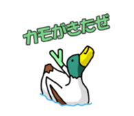 Impudent Animal sticker #106134