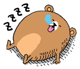 ANIMALO sticker #108060