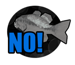 Blackbass sticker #109117