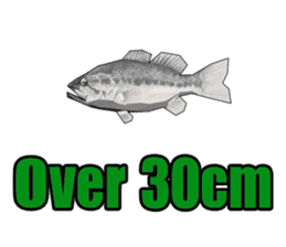 Blackbass sticker #109144