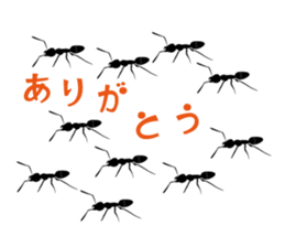 Chat Chat with Animals sticker #113308