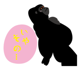 Chat Chat with Animals sticker #113310