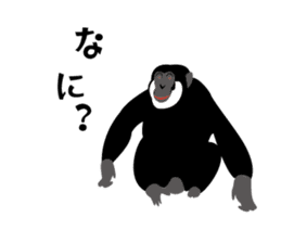 Chat Chat with Animals sticker #113330