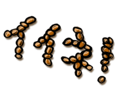 NATTO-KUSAKO sticker #113663