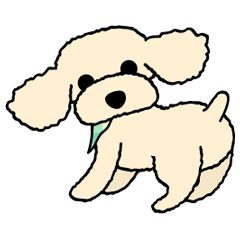 toypoodle Kuuta