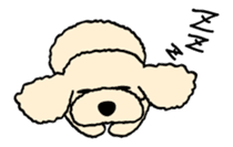 toypoodle Kuuta sticker #113674