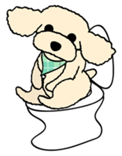 toypoodle Kuuta sticker #113690