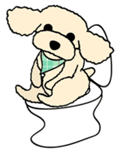 toypoodle Kuuta sticker #113690