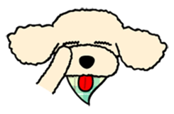 toypoodle Kuuta sticker #113693