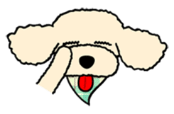 toypoodle Kuuta sticker #113693