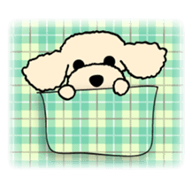 toypoodle Kuuta sticker #113695