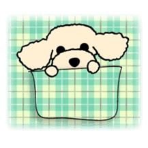toypoodle Kuuta sticker #113695