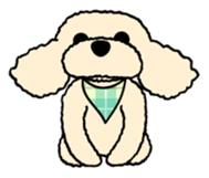 toypoodle Kuuta sticker #113697
