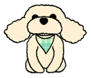 toypoodle Kuuta sticker #113697