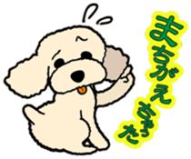 toypoodle Kuuta sticker #113699
