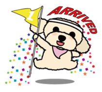 toypoodle Kuuta sticker #113703