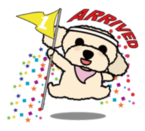 toypoodle Kuuta sticker #113703