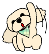 toypoodle Kuuta sticker #113705