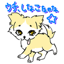 CHINAKO's EVERYDAY - CHINAKO THE DOG - sticker #114372