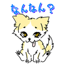 CHINAKO's EVERYDAY  - CHINAKO THE DOG - sticker #114373