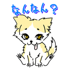CHINAKO's EVERYDAY - CHINAKO THE DOG - sticker #114373