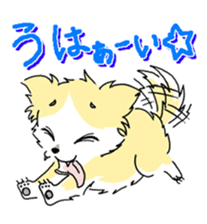 CHINAKO's EVERYDAY  - CHINAKO THE DOG - sticker #114381