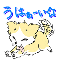 CHINAKO's EVERYDAY - CHINAKO THE DOG - sticker #114381