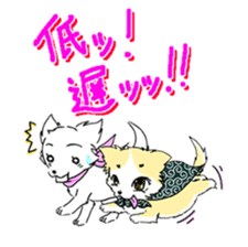 CHINAKO's EVERYDAY  - CHINAKO THE DOG - sticker #114391