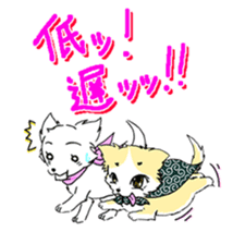 CHINAKO's EVERYDAY - CHINAKO THE DOG - sticker #114391