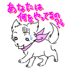 CHINAKO's EVERYDAY - CHINAKO THE DOG - sticker #114396