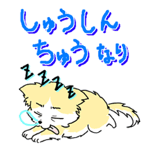 CHINAKO's EVERYDAY - CHINAKO THE DOG - sticker #114400