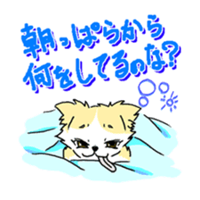 CHINAKO's EVERYDAY - CHINAKO THE DOG - sticker #114404