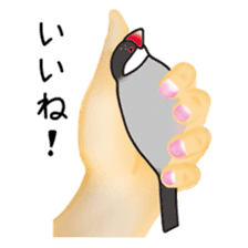 irohabuntyo sticker #114537