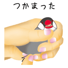 irohabuntyo sticker #114539