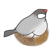 irohabuntyo sticker #114557