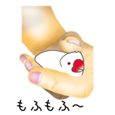 irohabuntyo sticker #114558