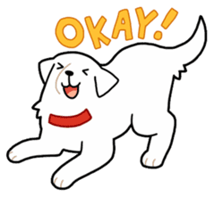 A Dog Called SHIRO sticker #115733
