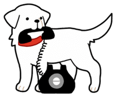 A Dog Called SHIRO sticker #115738