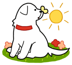 A Dog Called SHIRO sticker #115746