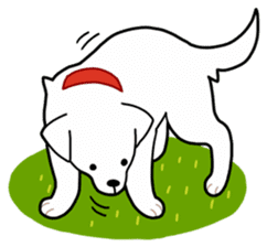A Dog Called SHIRO sticker #115750