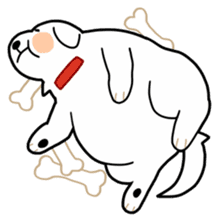 A Dog Called SHIRO sticker #115752