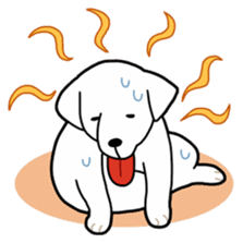 A Dog Called SHIRO sticker #115754