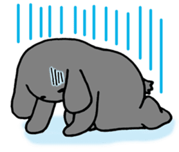 rabbit Woo-tan sticker #116518