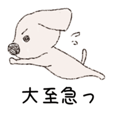 Enjoy with a Maltese~field life~ sticker #117059