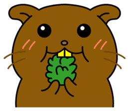 Our Degu sticker #118016