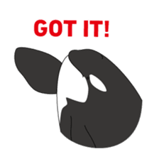 Whales&Dolphins sticker #119087