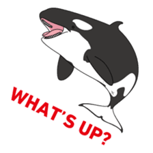 Whales&Dolphins sticker #119090