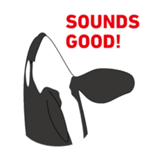 Whales&Dolphins sticker #119092