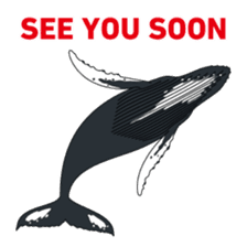 Whales&Dolphins sticker #119096