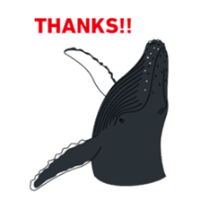 Whales&Dolphins sticker #119100